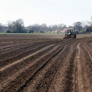 Marcel is bezig met 11 hectare Altus fabrieksaardappelen. In totaal moest er zo'n 80 hectare aardappelen de grond in. Dat ging vrij vlot dit jaar, vertelde Roy later. „Met twee weken was de klus geklaard."