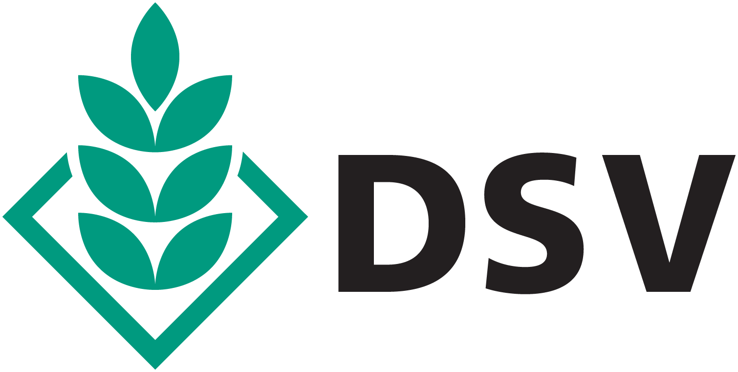 DSV logo