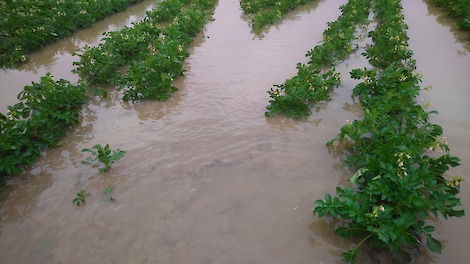 Fotoserie: Wolkbreuk boven Walcheren: „Je krijgt echt alles of niks” - Akkerwijzer