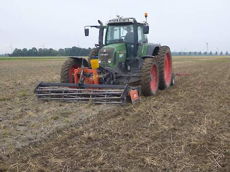 Inzaai groenbemester op tarwestoppel.