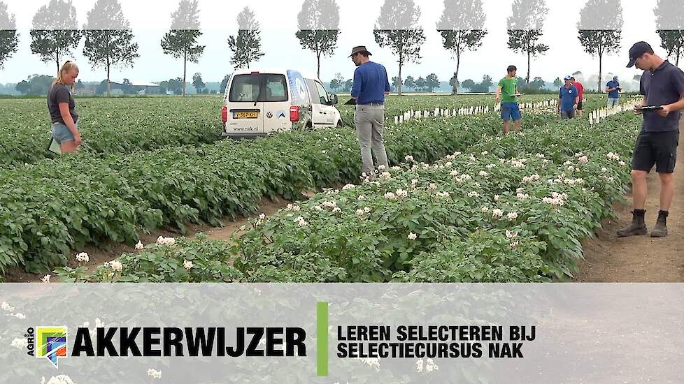 Hoge virusdruk zorgt voor volle selectiecursus NAK