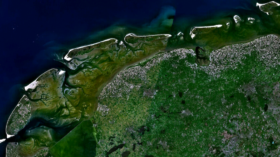 Dankzij satellieten en de techniek van Geo4A kan Breeders Trust elk perceel aardappelen in beeld brengen.