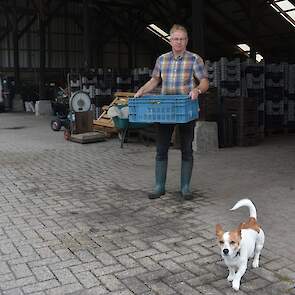 De krieltjes levert hij in kistjes af aan een restaurant in Hardenberg waar zijn zoon chefkok is. „Hij neemt elke dag de krieltjes mee naar het restaurant.” De grofste aardappelen gaan in zijn eigen boerderijwinkel. De middenmaat zijn de aardappelen die h