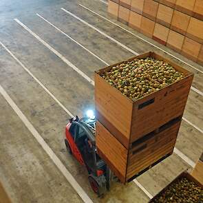 Het verblijf bij PPA in Dronten is van korte duur; vandaag worden de uien getransporteerd naar de sorteerder.