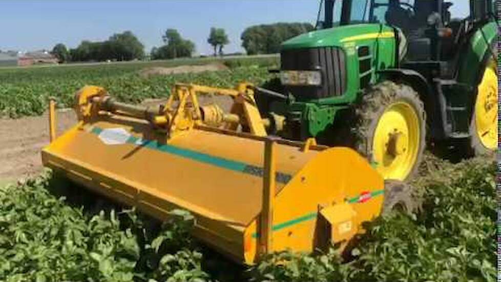 Aardappels rooien van Menko van Zwol