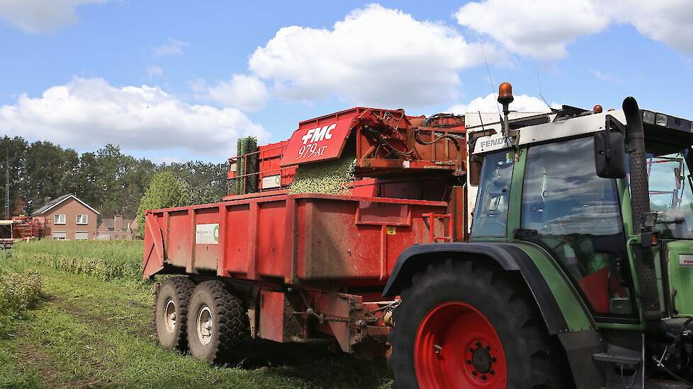 De opbrengst ligt dit jaar lager dan gemiddeld. De bonendorser is van het oorspronkelijk engelse merk PMC,  tegenwoordig onderdeel van Ploeger Machines. Vanaf volgend jaar zal de naam PMC niet meer worden gevoerd, heten alle machines Ploeger.