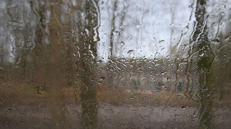 Ondanks de regen van de afgelopen weken dalen grondwaterstanden en loopt het neerslagtekort op, aldus LCW.  Beeld: Susan Rexwinkel