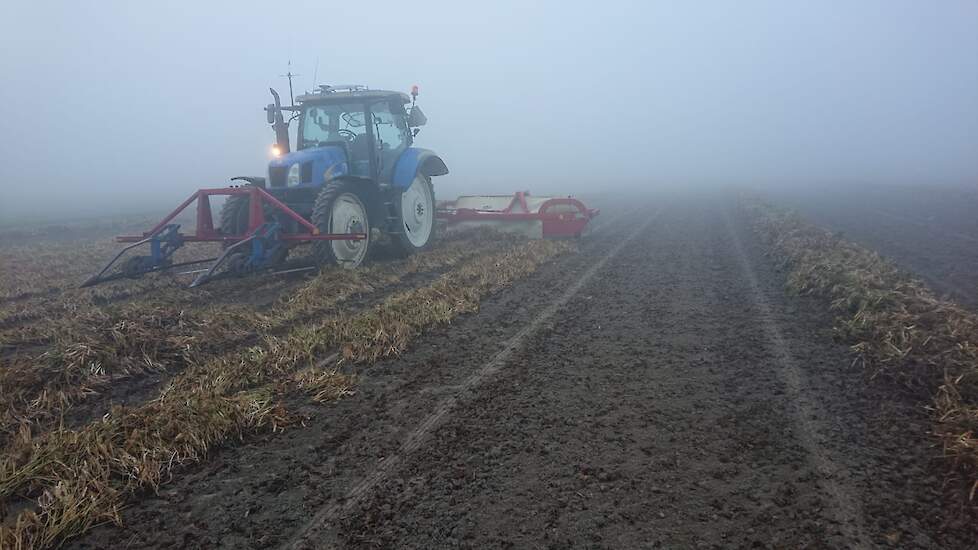 De bonen oogst bij de maatschap Haartsen.