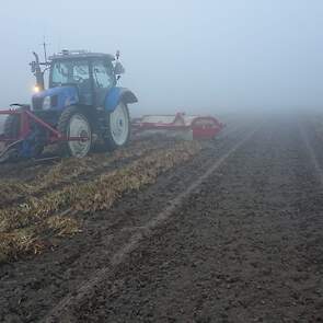 De bonen oogst bij de maatschap Haartsen.