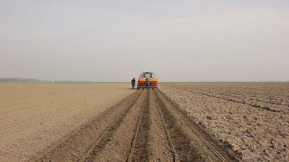 Ruim de helft van de stemmers (56 procent) is het eens met de stelling dat minder aardappelen telen in Noordwest-Europa nodig is voor een betere prijs.