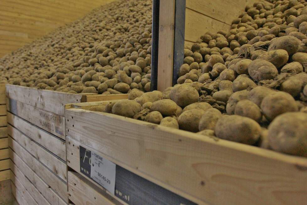 Aardappelen bewaring Akkerwijzer