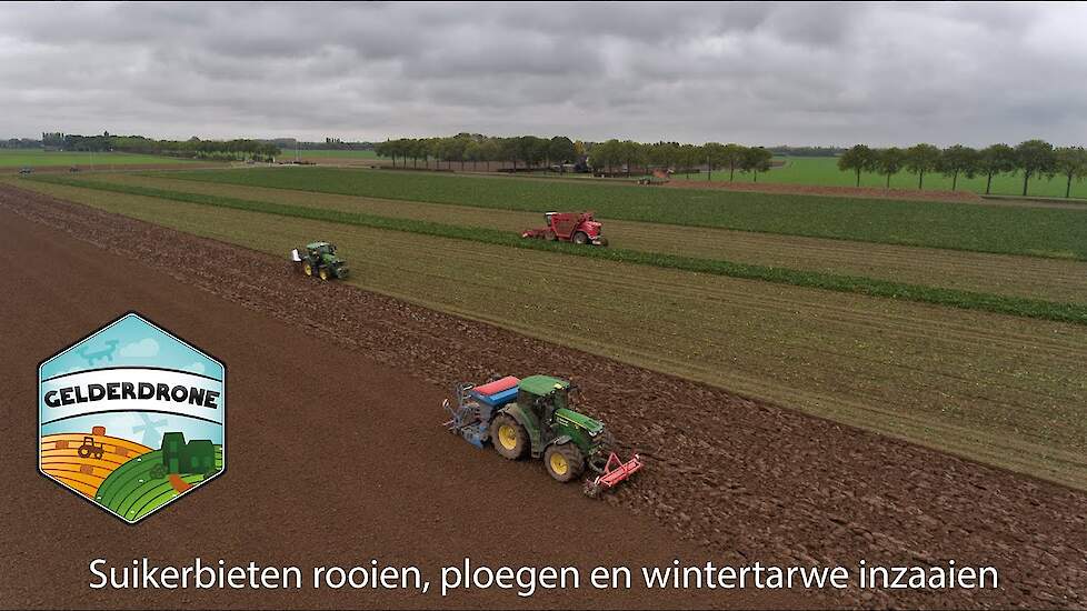 Bietencampagne 2020 Bieten rooien, ploegen en vervolgens wintertarwe inzaaien