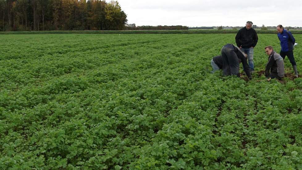 Het perceel met ploegen, woelen, zaaidichtheden, GLB-mengsels, braak en een mengsel met veel verschillende soorten