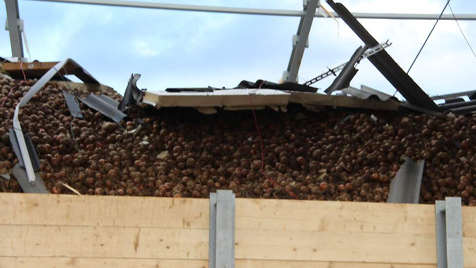 De drie cellen met elk een capaciteit van 950 ton zitten vol aardappelen en uien. Ook deze moeten als verloren worden beschouwd.