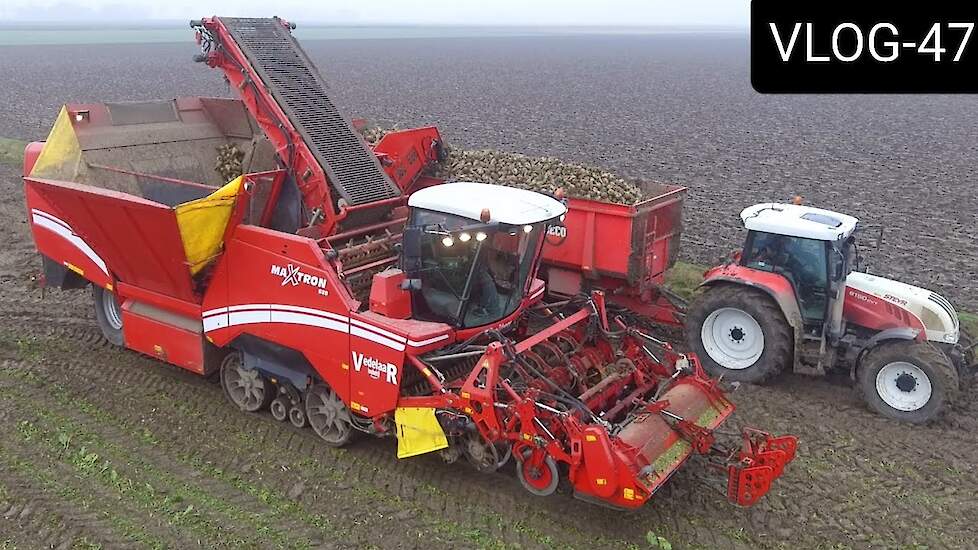 FARMVLOG #47 suikerbieten rooien, harvest sugar beets