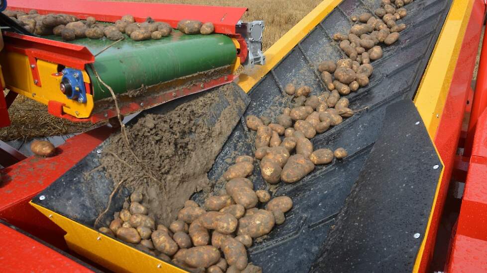 aardappelen op transportband, laden vrachtwagen