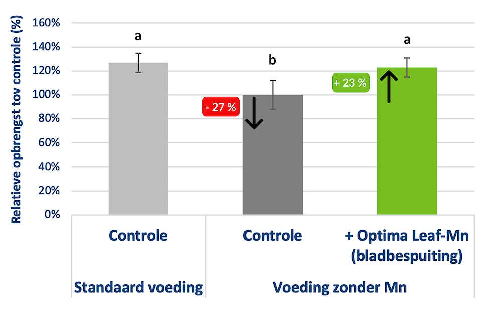 Effect van mangaangebrek en bladbespuiting met Optima Leaf-Mn op de opbrengst (Soiltech kasproef op radijs).