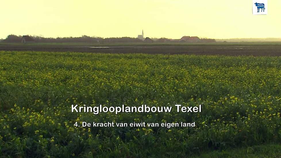 Nieuwe verdienmodellen met eiwit van eigen land!