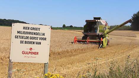Ook voor bierbrouwer Gulpener zijn KWS Irina en RGT Planet al enkele jaren de twee favoriete rassen.