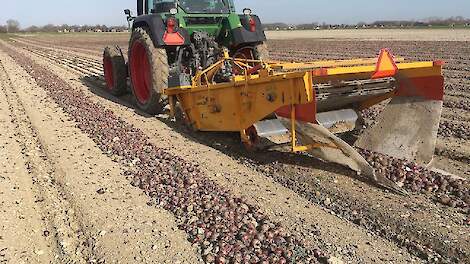 Maart: Groningse uien rooien en zaaien, ingrijpende landbouwvoorstellen en stormloop op maaltijdbezo
