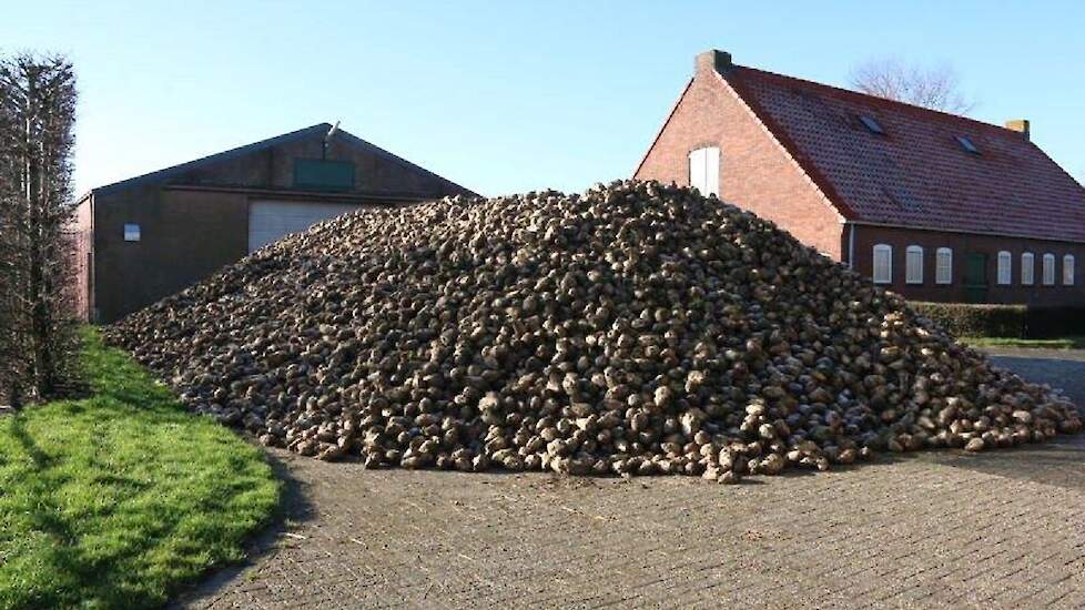 Daarom zijn er in de loop der jaren meerdere schuren bijgebouwd. De oudste schuren stammen uit de jaren veertig, de luchtgekoelde aardappelbewaring is gebouwd in de jaren zeventig. „Die willen we in de toekomst wel vervangen door een modernere bewaring, m