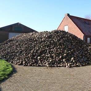 Daarom zijn er in de loop der jaren meerdere schuren bijgebouwd. De oudste schuren stammen uit de jaren veertig, de luchtgekoelde aardappelbewaring is gebouwd in de jaren zeventig. „Die willen we in de toekomst wel vervangen door een modernere bewaring, m