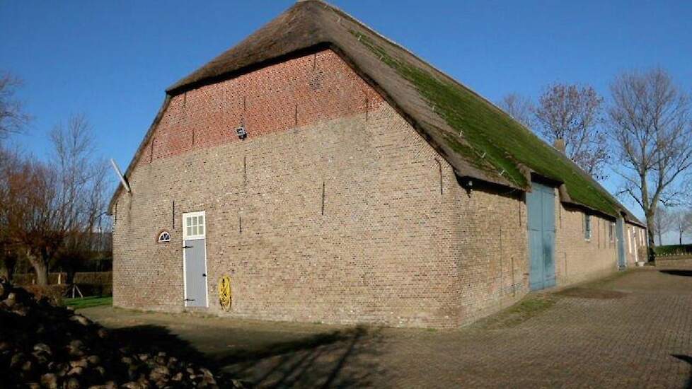 De achtergevel is opgetrokken uit twee soorten stenen; bovenin zijn rode stenen gebruikt. Wat hiervan de reden is, weet Berends niet.