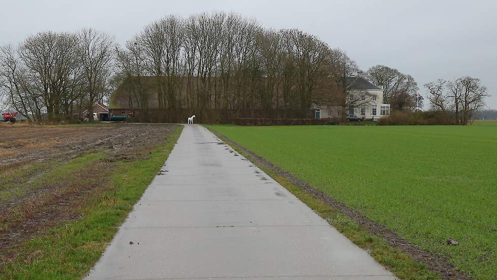 De statige boerderij met het hoge witte voorhuis van Boelo ten Have, net buiten Drieborg in het hart van het Groninger Oldambt stamt uit 1865.