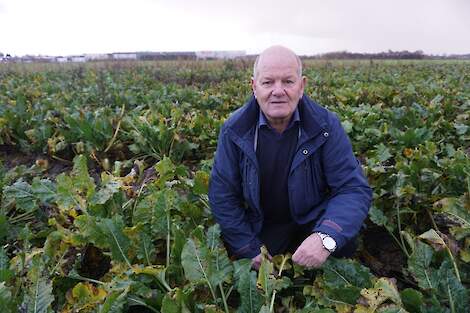 Jan Dingemans is technisch adviseur bij Theunisse BV in Steenbergen (N-Br.).