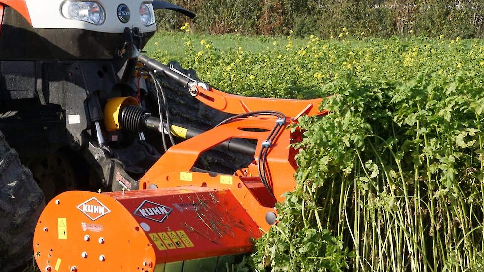 enough to keep loose soil