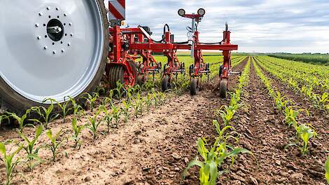 Steketee sorteert voor op groeiende vraag naar mechanische onkruidbestrijding - Akkerwijzer