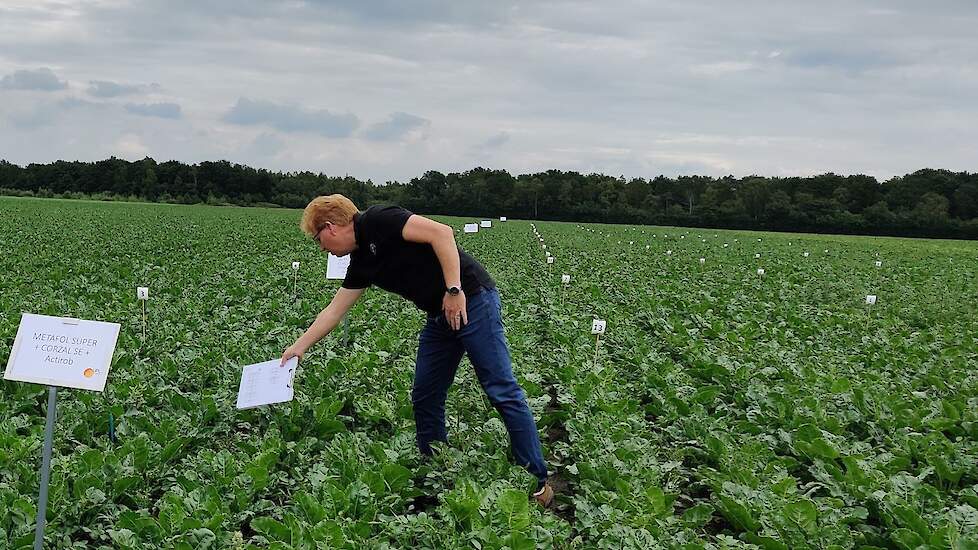 Beoordeling object in proef door Marcel van Doorne
