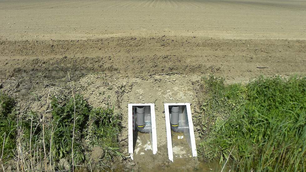 drainage as a possible introduction door for brown rot.