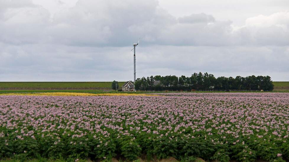 Cirkulärt jordbruk