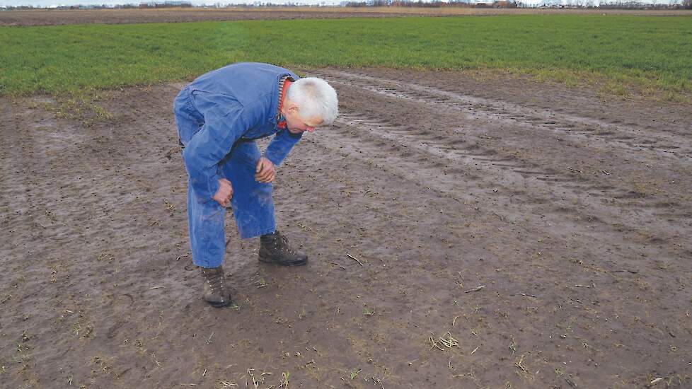 Door bodemdaling heeft akkerbouwer Cees Geluk veel natte plekken op zijn percelen. „Daar wil niets groeien.”