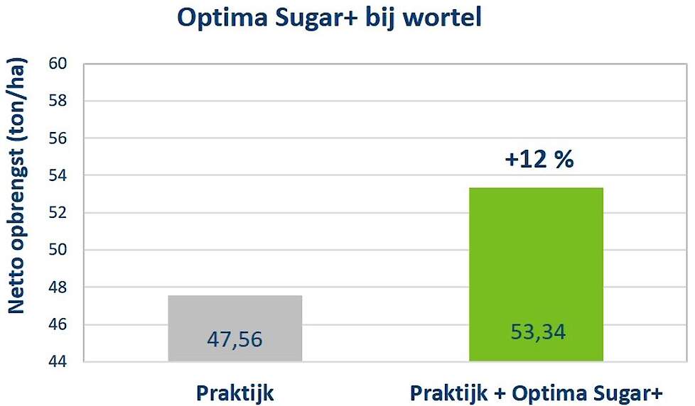 Figuur 5: Resultaten wortelproef met Optima Sugar+ uitgevoerd door proefboerderij ‘De Rusthoeve’.