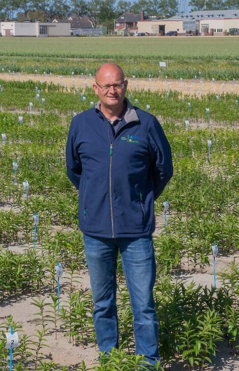 Arjo van den Berg, teeltspecialist bollen bij Agrifirm-GMN