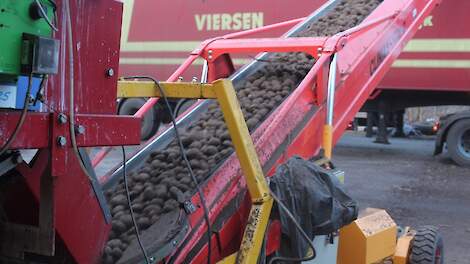 Avebe met 19 procent zetmeel naar de eindstreep - Akkerwijzer