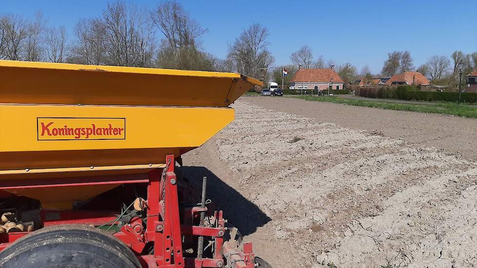 Foppe Jan Dijkstra: „In stijl aardappelen poten met de koningsplanter. "