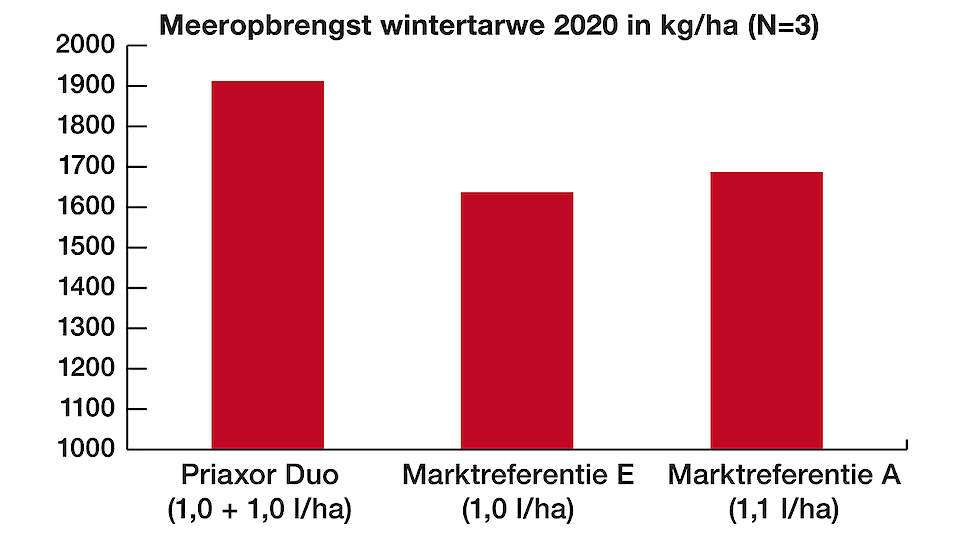 Om de effectiviteit van de graanfungiciden te onderzoeken heeft BASF in 2020 op meerdere locaties proeven uitgevoerd. In diverse tarwe rassen zijn onder druk van o.a. septoria en roesten eenmalige toepassingen uitgevoerd om zo de individuele kracht van ee