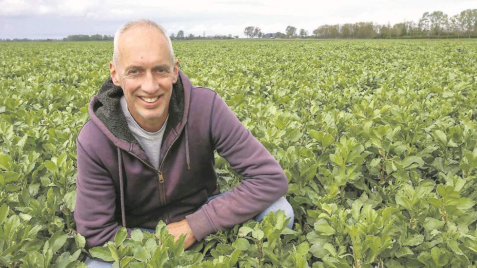 Boelo Tijdens combineert gangbare en biologische teelt