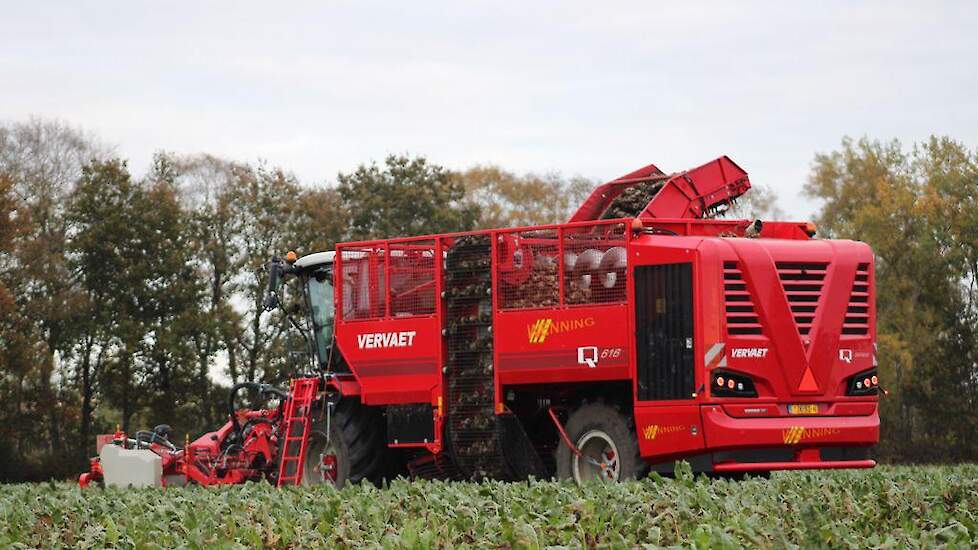 December 2021: de bieten zijn gerooid en liggen aan de hoop. Eind van de maand worden ze geladen. Gert heeft de twee partijen bieten (traditioneel en in de groenbemester) niet apart kunnen rooien. Ook zijn ze niet gewogen. Toch heeft hij wel een eerste in