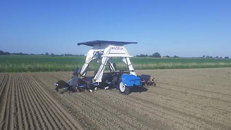 Mijn Keus: Wiedbed op zonne-energie - Akkerwijzer