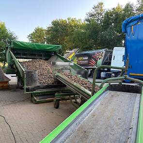 De aardappelen worden verwerkt tot frites.