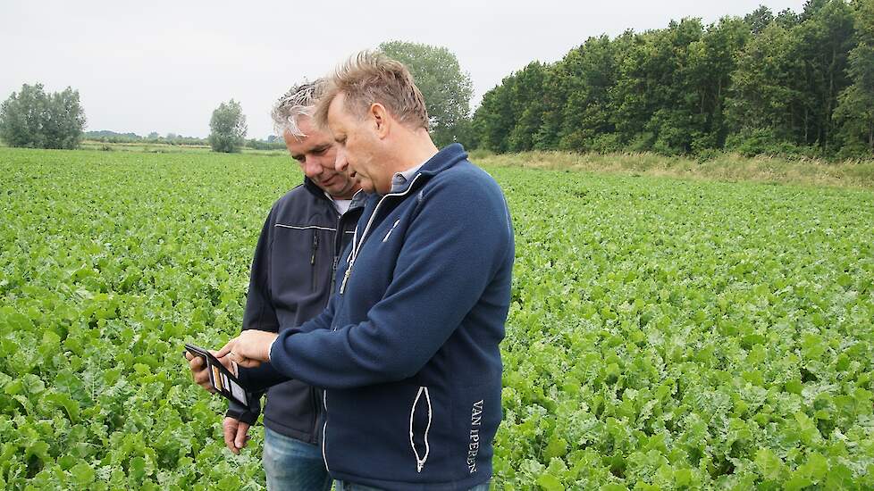 Fieldscout-app bekijken op het TopBodem-demoperceel.