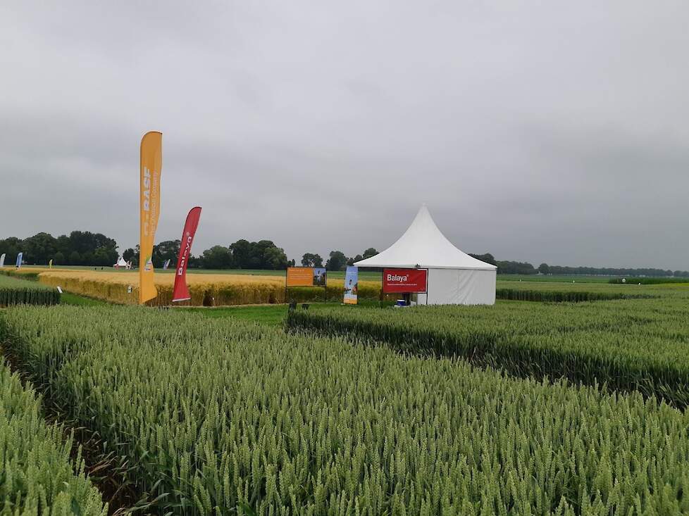 SPNA open dag op proefboerderij Ebelsheerd - dinsdag 29 juni