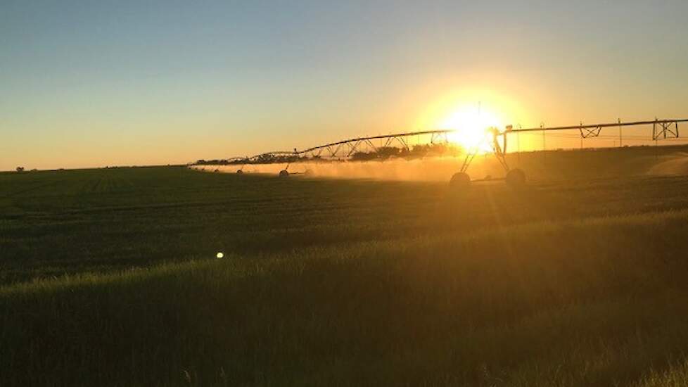 Beregenen bij zonsopgang.