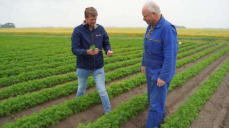 Bayer Crop Science › 'Peen kan ondersteuning van Serenade prima gebruiken' - Akkerwijzer