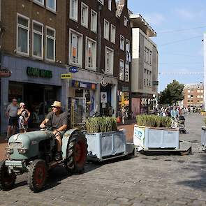 Om het Vierdaagsegevoel dichterbij te brengen, trokken boeren van het ommeland met een platte kar en pluktrein door de stad om gladiolen te verkopen. De opbrengst gaat net als vorig jaar naar het Nijmeegse Marikenhuis, een inloophuis voor mensen die zijn