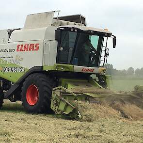 Het gras wordt met een Claas Lexion 530 gedorst door Arie van loonbedrijf Antuma uit Dedemsvaart.